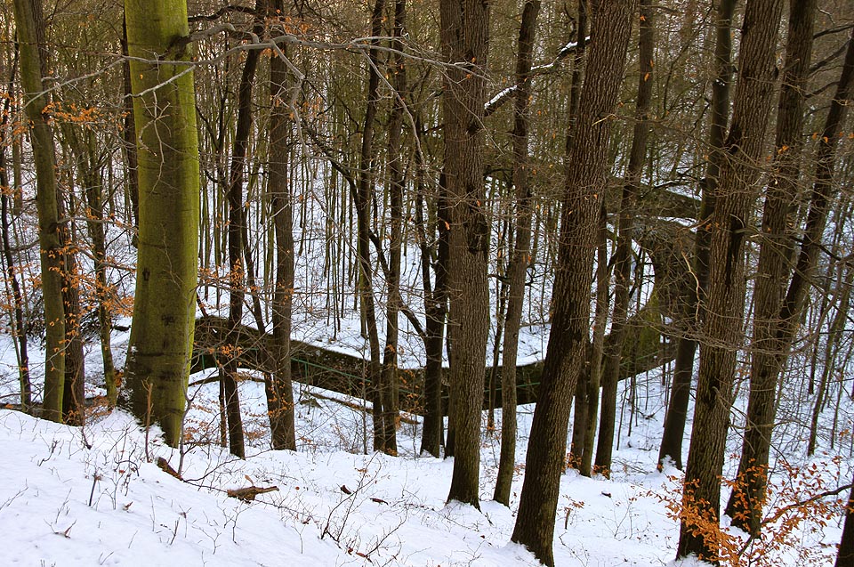 Albrechtická štola