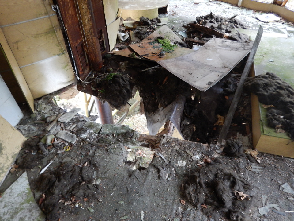 Podlaha se už propadá, ale UFO má ještě naději. O záchranu této stavby se snaží mladý architekt Zdeněk Liška.