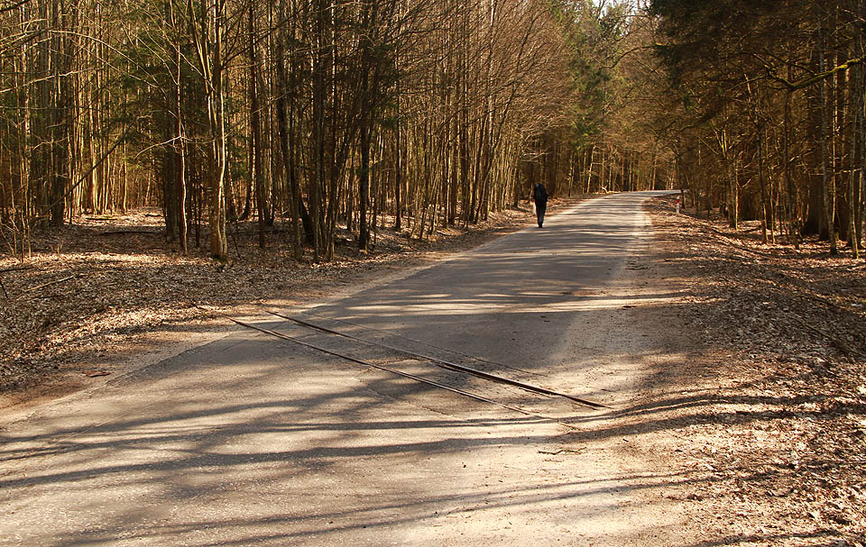 Poslední zbytky východní části prostřední větve drážky u běloruských hranic. Druhý přejezd bývalého trianglu přes silnici č. 689.