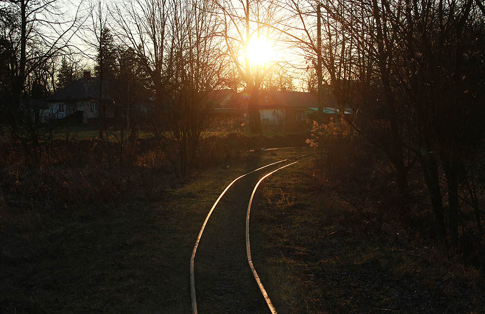 Severní větev Białowieżské úzkokolejky na pozadí západu slunce nad Hajnówkou.