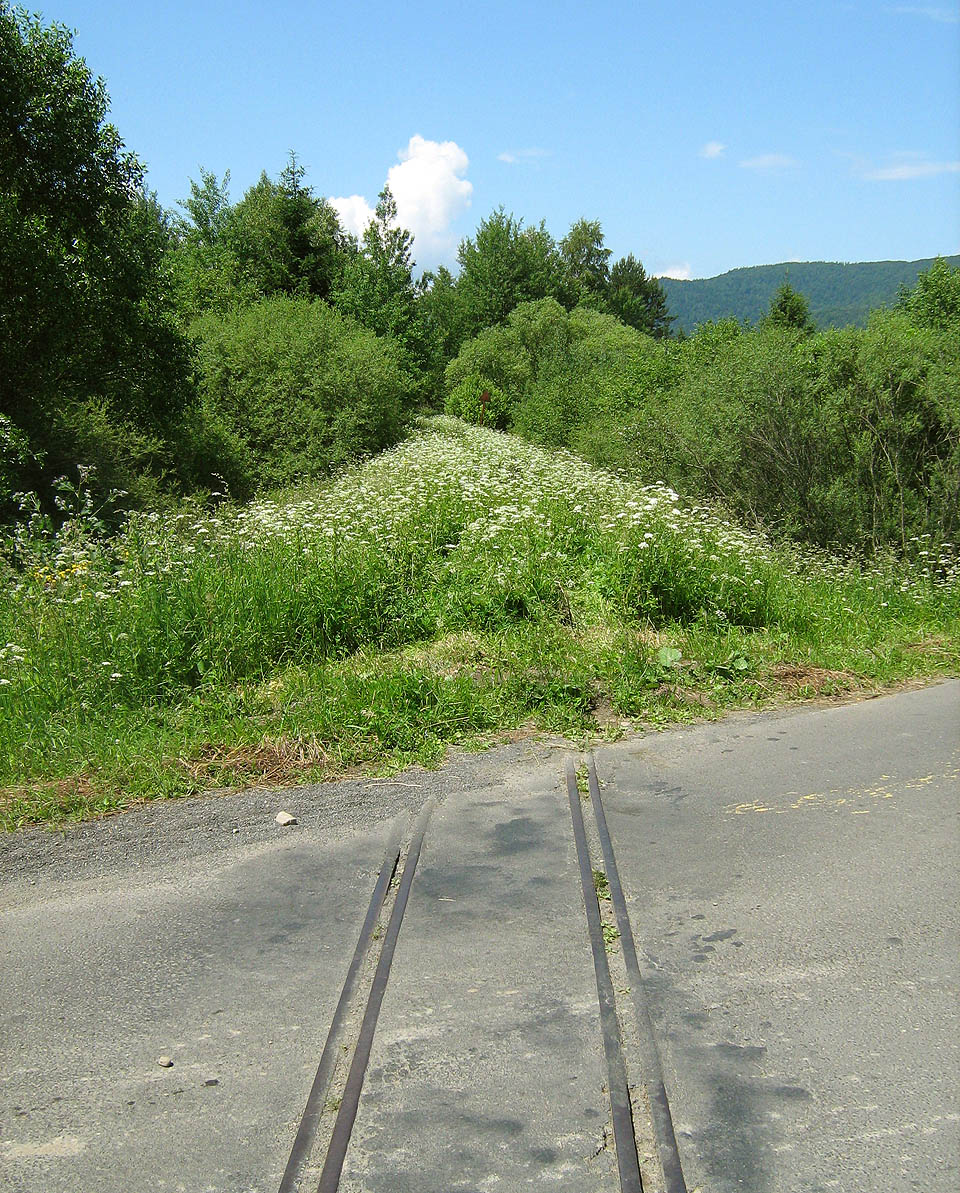 Příroda ochutnává železniční násep i s kolejemi; s troškou štěstí jej ale nakonec nad Smerekem nepozře.
