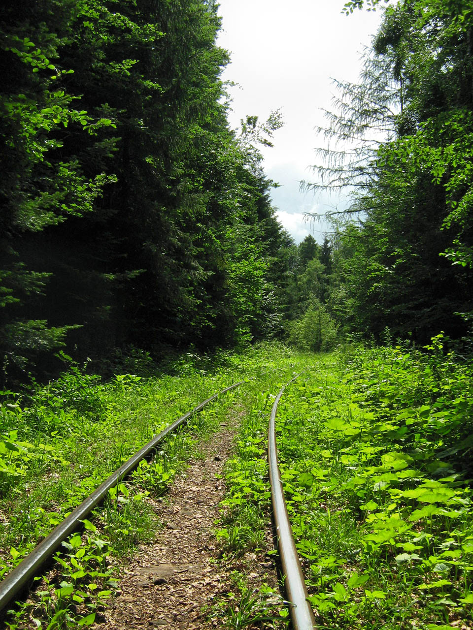 Za Balnicí si kolej statečně razí cestu bujným lesem, přes bystřiny a mezi pastvinami, po náspech a mostcích jako v pohádce.