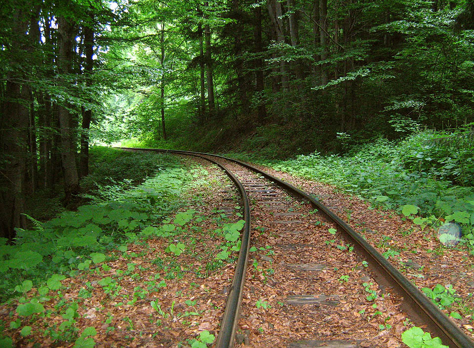 Ve své centrální části se drážka stáčí ostře k jihu, opouští dnešní silnici a vede do hor až ke slovenské hranici. Zde nejsou vesnice, nevede sem silnice a okolo kolejí stojí jen prastaré buky. Podle legendy zde stával tajemný karpatský hotel na úbočí strmých hor, ke kterému se dalo dostan jedině pěšky přes strmé svahy a nebo vlakem.