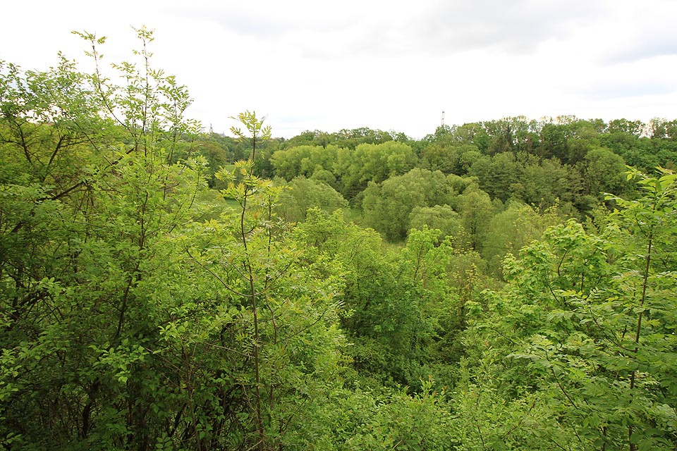 Z obývacích pokojů v jižní části vily je výhled takříkajíc „do zeleně“ nad řeku Metuji.