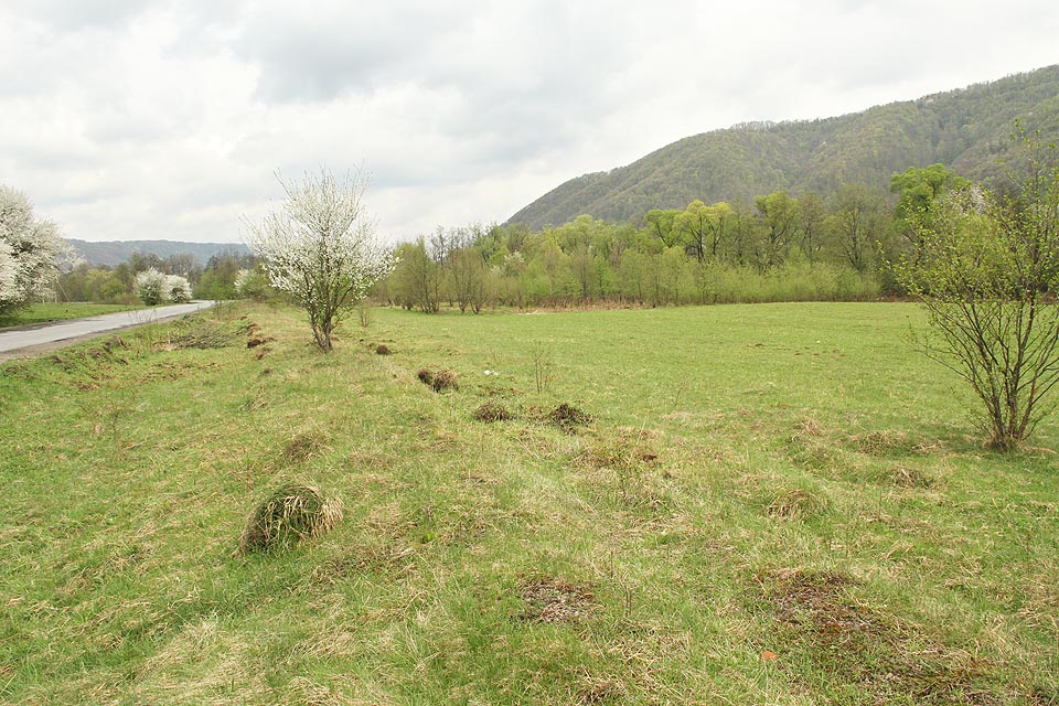 O kousek dál bychom ale již kolejnice hledali marně. Podél silnice už vede jen zemní těleso s trouchnivějícími pražci.