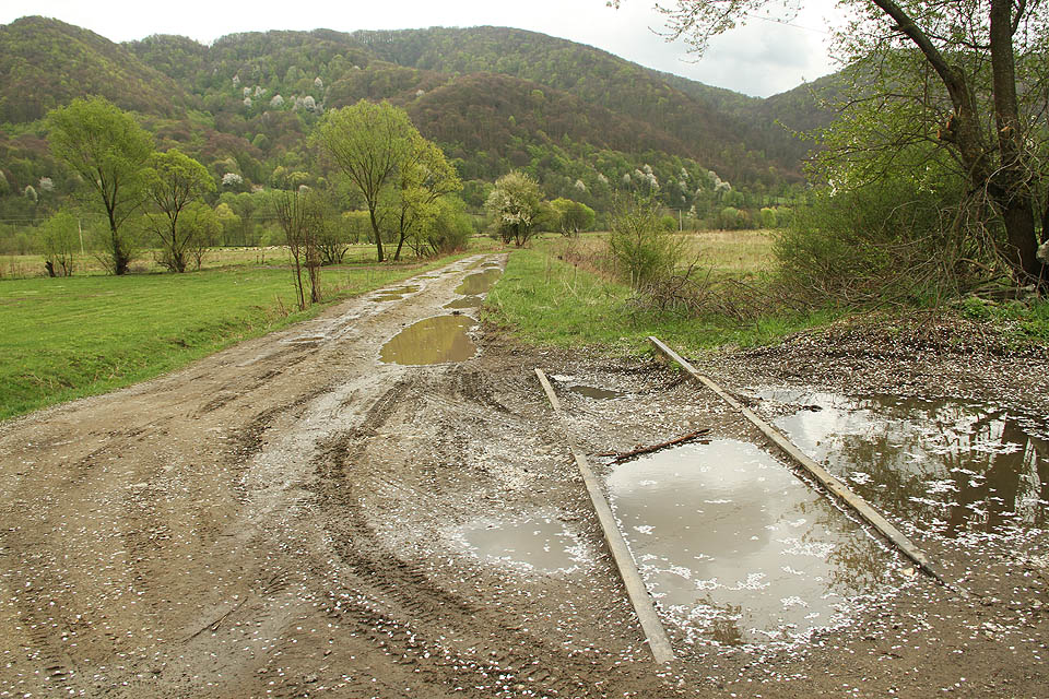 Tak končí fenomén lesních železnic na Zakarpatí a v Evropě vůbec. V horách na jaře i po sto letech rozkvétají stromy, jejich dřevo už ale po kolejích nikdo neodveze.