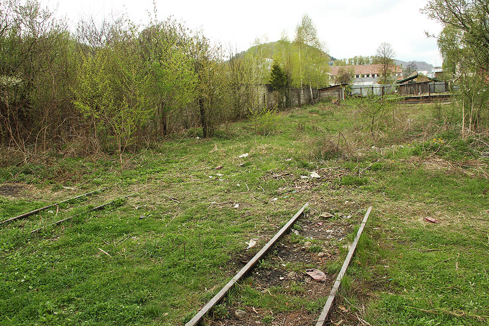 Stanice Бронька byla místem, kde odbočovala z úzkokolejky hlavní větev Dovžanské lesní železnice. Bezprostředně za nádražím se nacházel dřevozpracující kombinát, který vyráběl dveře do sovětských námořních lodí. Dřevo z karpatských lesů se tak podívalo po celém světě. V roce 2017 zbývají ze stanice i továrny jen trosky.