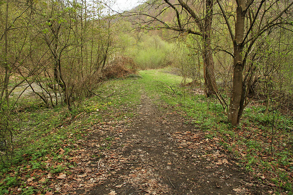 Pozůstatky po nejvýše položené Kušnické lesní železnici jsou zde ovšem už mnohem hůře patrné. Sem tam se vynoší kus náspu, mosty ale dávno strhla voda dravých bystřin a na některých místech si lze trasu úzkokolejky pouze domýšlet.