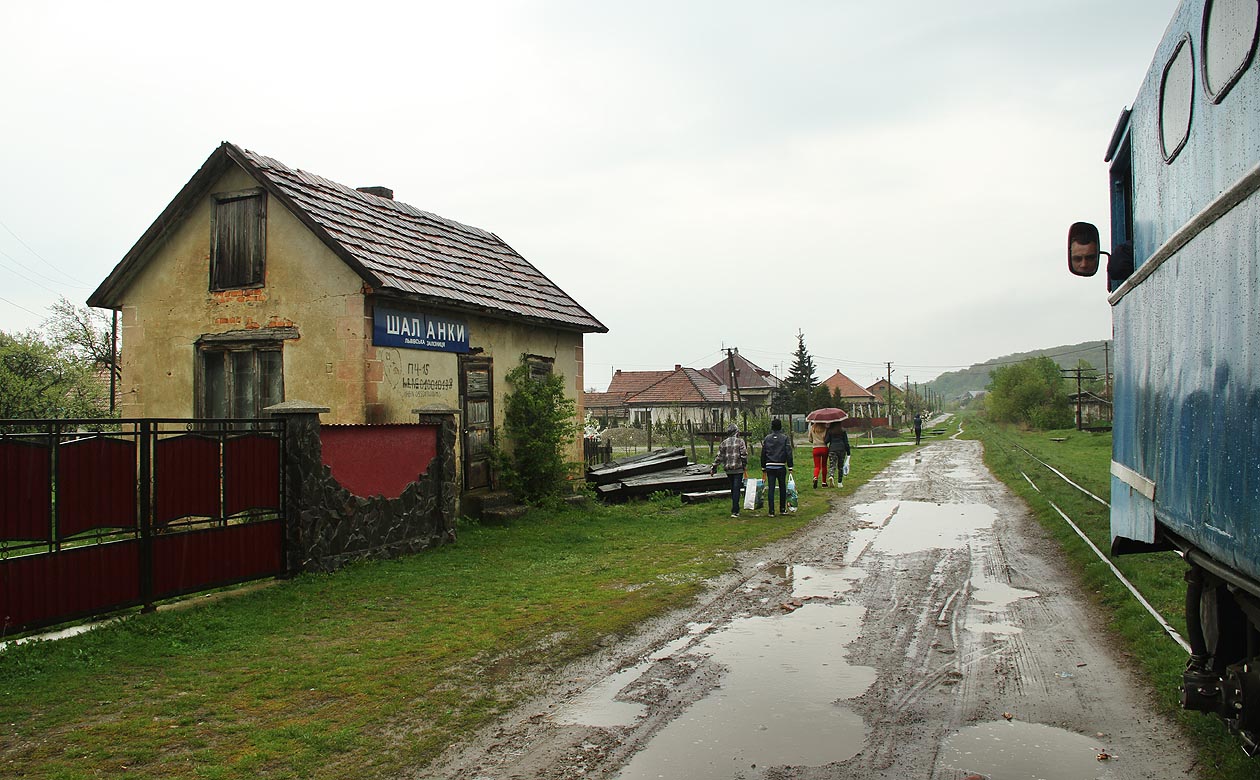 Za posledních 7 let vyrostl před vstupem na staniční záchodky strom.