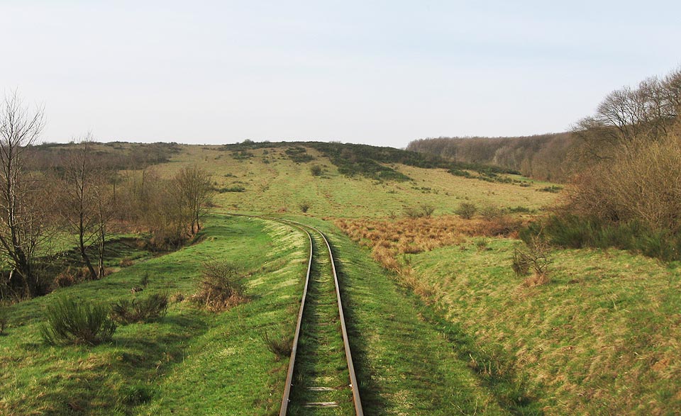Malebná trasa úzkokolejky místy připomíná skotská vřesoviště. Inu Zakarpatí je zvláštní kraj.