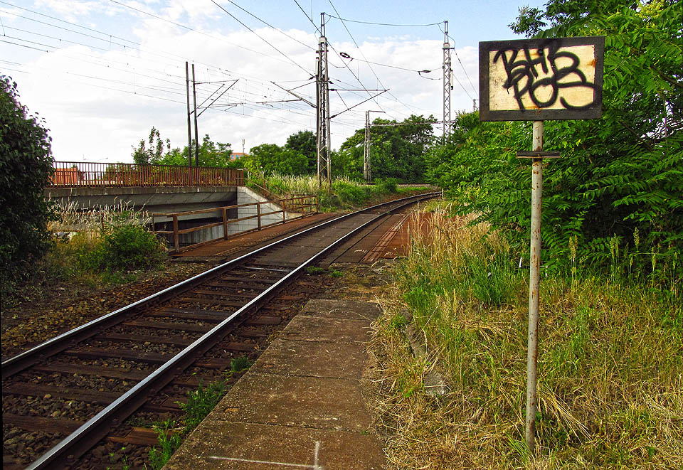 Pohled směrem k odbočce Brno-Černovice. V křoví na obzoru je ukryt památník Vlárské dráhy.