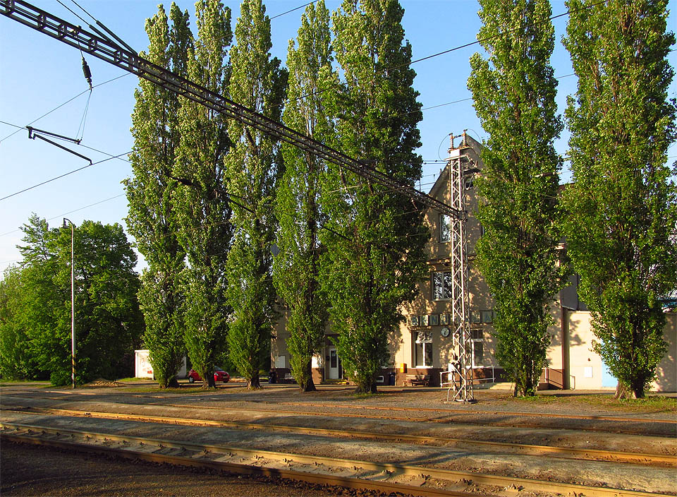 Ze strany od kolejí výpravní budovu kryjí ztepilé topoly.