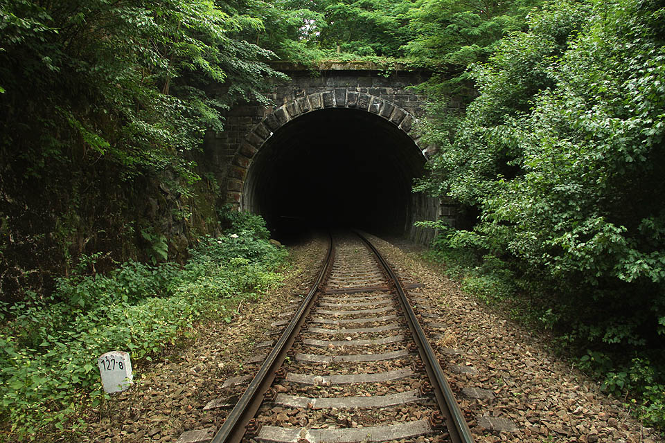 Severní portál Budkovického tunelu, na který nikdy nesvítí slunce, takže poklidně obrůstá mechem.