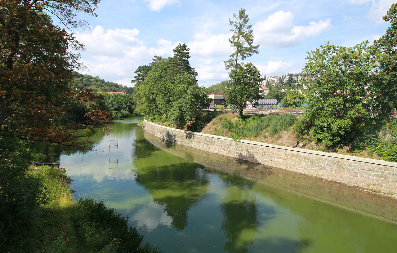 Při pohledu na kvalitu vody v řece Svratce se člověk neubrání dojmu, že zrušení úpravny říční vody na jejím břehu bylo na místě. Jedovatě zářivě zelené sinice člověku na žízni nepřidají.