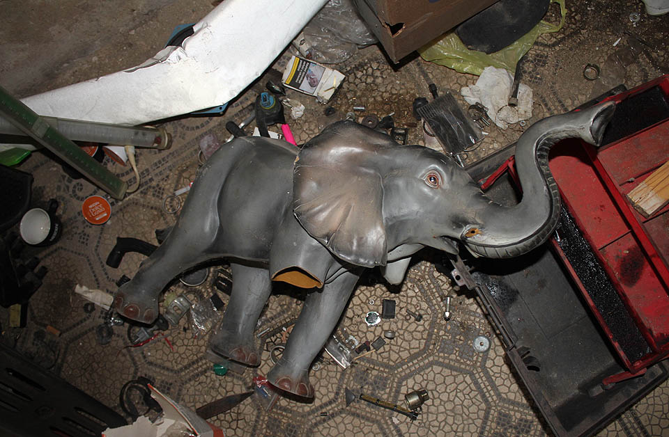 V haraburdí na podlaze mohl nepřipraveného pátrače šokovat nejeden zvláštní tvor.