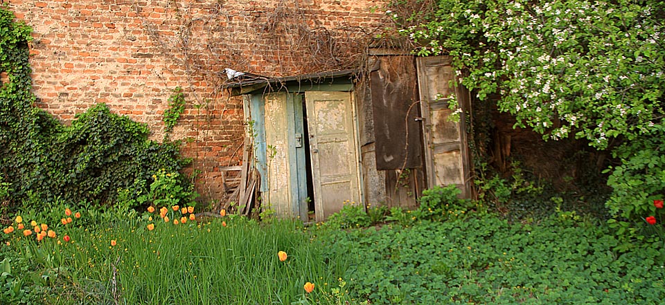 Zpuchřelé skříně v neznámé zahradě jako na obraze od Pavla Čecha.