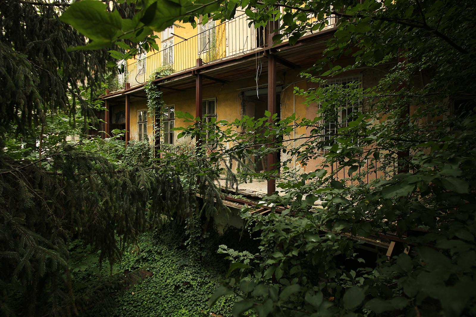 Bytový dům na Palackého třídě č. 28 v Brně tone už desetiletí v záplavě zeleně, jako zámek pro spící princeznu.