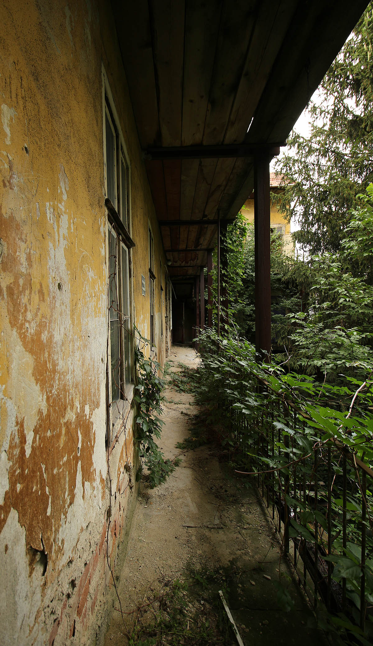 Pavlačových domů v Brně ubývá. Každý měsíc zmizí několik dalších zástupců fenoménu, který byl standardem bydlení zejména dělnictva v 19., ale i 20. století.