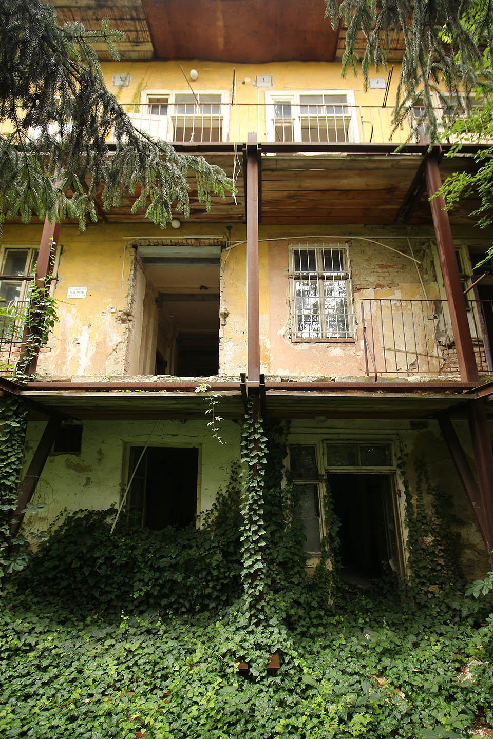 Vstup do suterénního bytu obrostlý břečťanem je jako dokonalá kulisa z nějakého fantasy filmu.