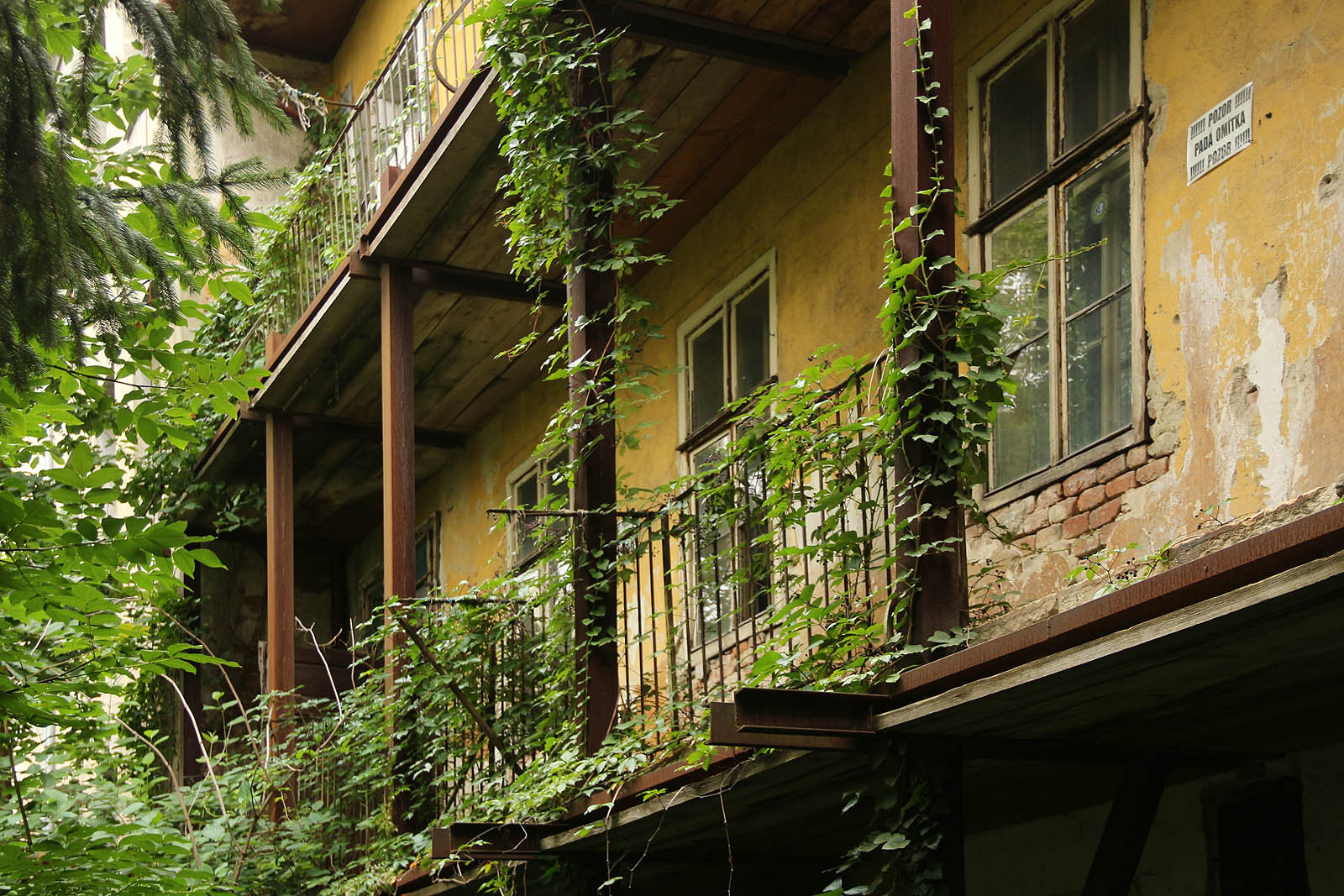 Jak řekl kdysi slavný americký architekt Frank Lloyd Wright: „Lékař může své chyby pohřbít, ale jediné, co zmůže architekt, je poradit svému klientovi, aby vysadil psí víno.“ Možná, kdyby někdo dům opravil v podobě, zachovávají veškeré rostlinstvo, mohl by v příštím roce získat Pritzkerovu cenu.