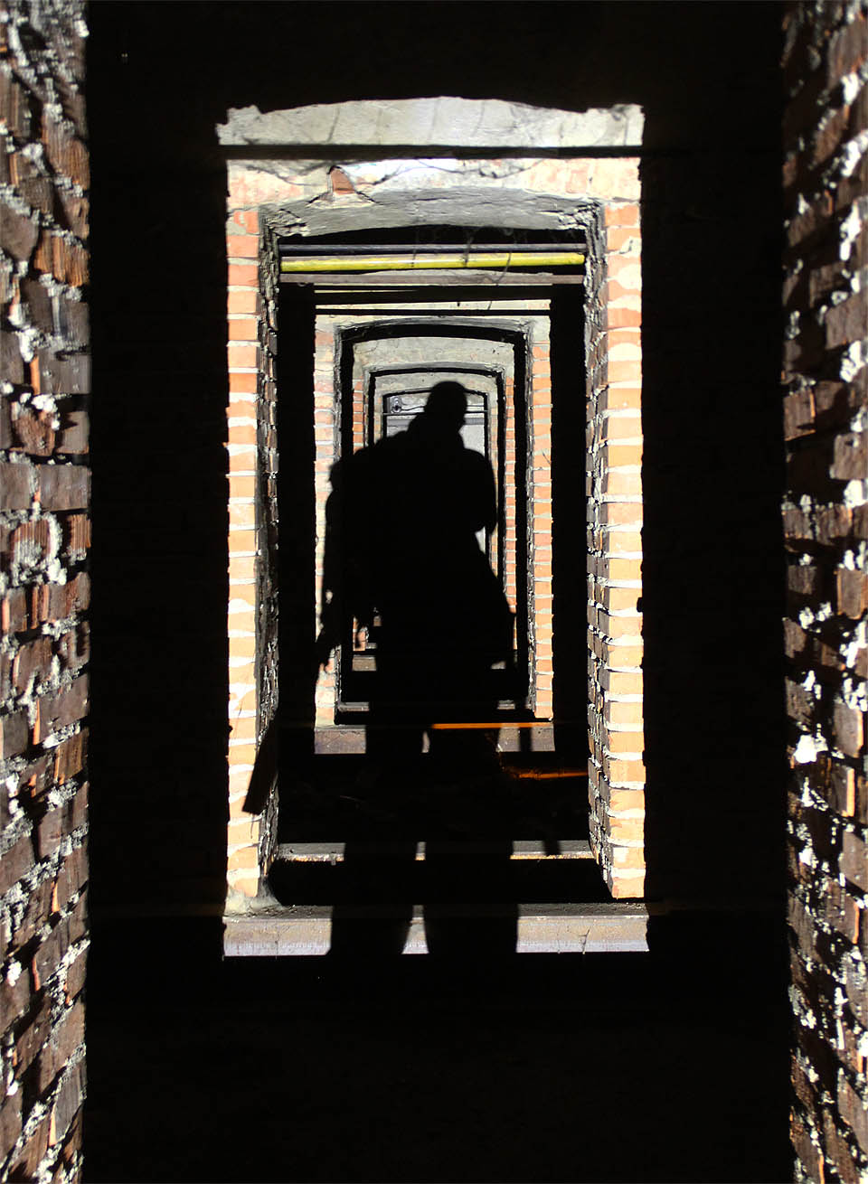 Za temných zimních večerů se občas v podzemí domu na Palackého třídě objeví postavy pátračů. Sami neví, co vlastně hledají, ale prozkoumají každý kout.