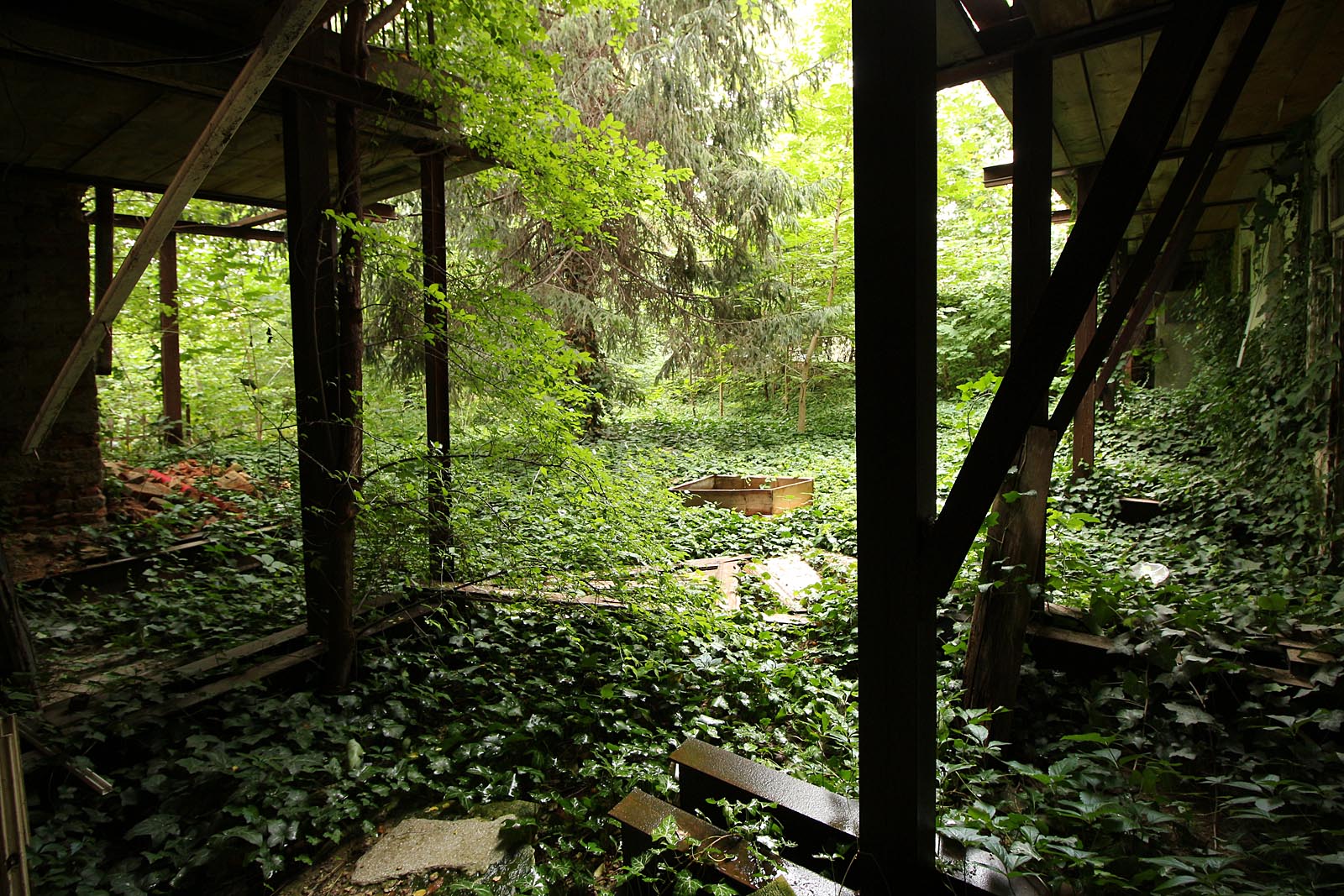 Zpátky ze sklepa na nádvoří prokletého domu mezi ocelové traverzy do břečťanových vln.