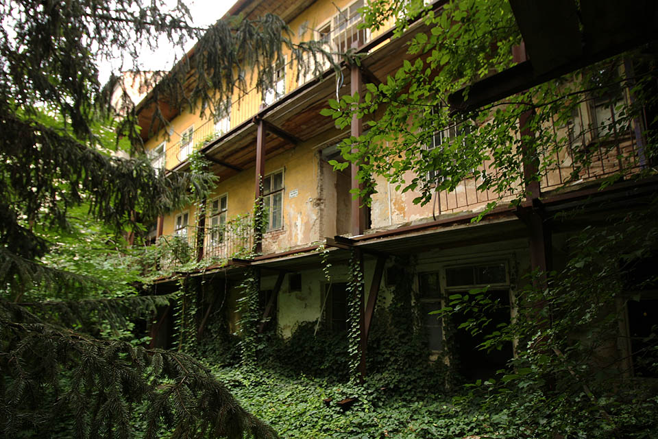 Pohled ze dvora, který se změnil v prales, na centrální chodbu domu ústící na pavlač.