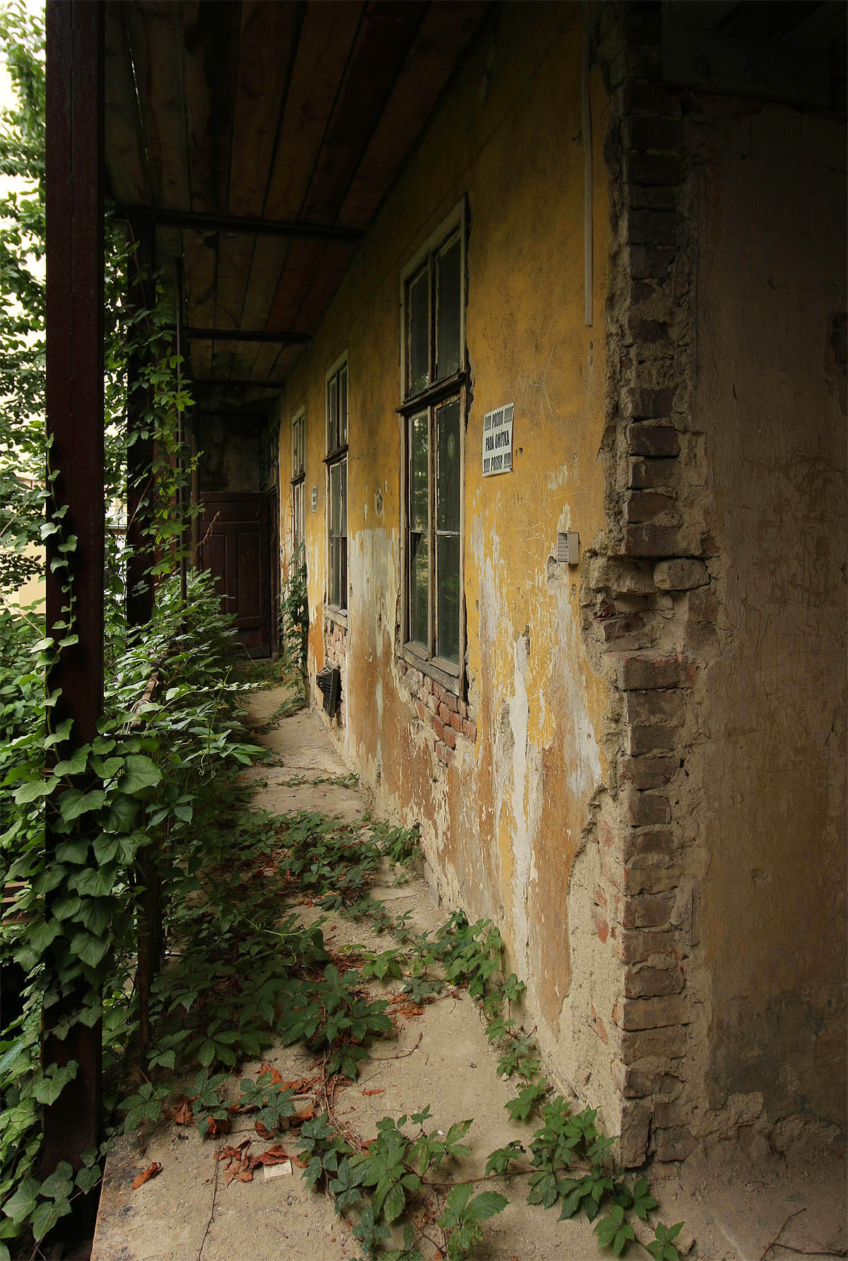 Nápis varující před padající omítkou vyznívá v domě, kde padají celé kusy stěn a stromů téměř humorně.