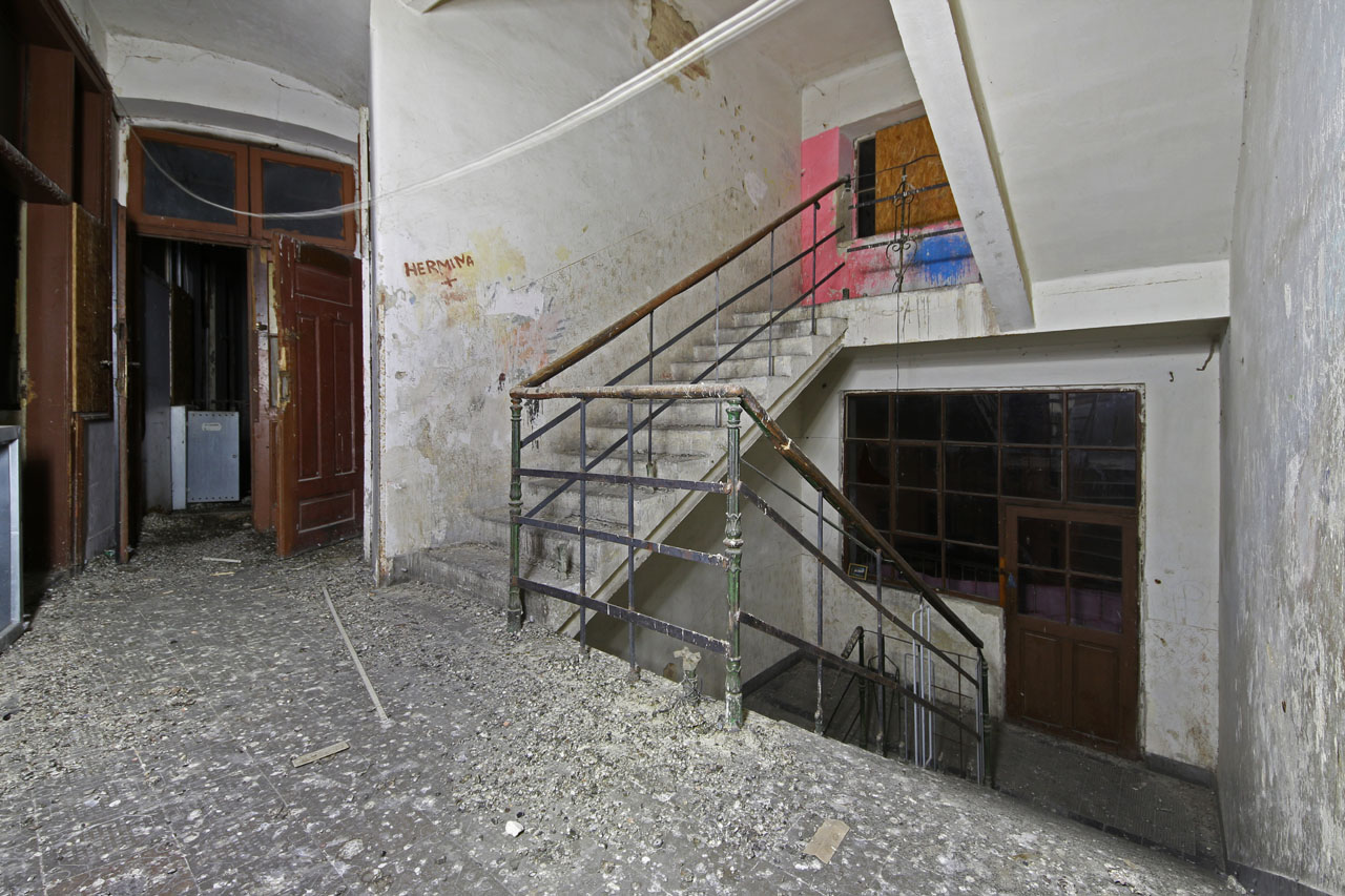 Nad námi se nachází ještě půda, ale ta je holuby tak prosycená, že obyčejný smrtelník do ní prakticky nemá šanci vstoupit. Ptáci, kteří spatří světlo baterky, se vrhají člověku do vlasů, klovou jej do očí a tlučou křídly plnými cizopasníků. Na podlaze půdy je vrstva guana zvící půl metru a celé hmyzí kolonie, které se živí mrtvými a živými holuby i jejich trusem.