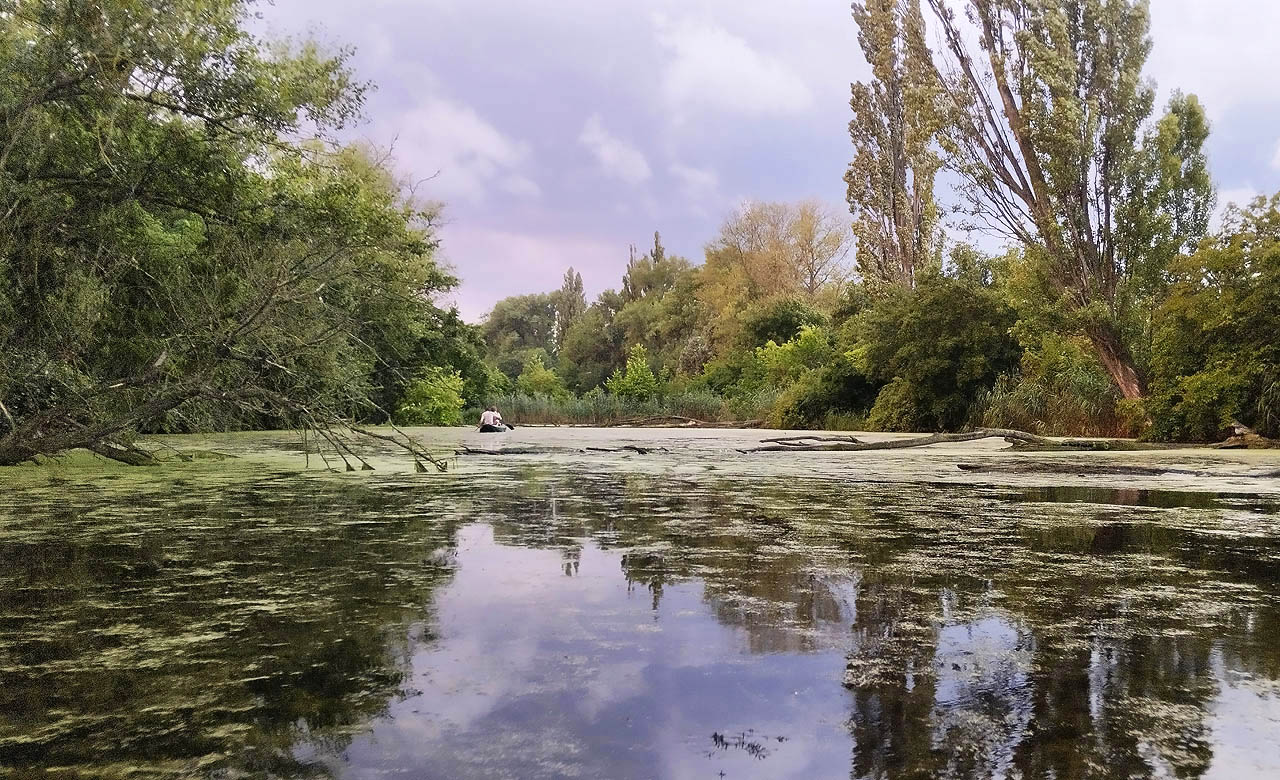 Pohled na hladinu Roučkova jezera, jednoho ze soustavy umělých Holáseckých jezer v bývalém korytě řeky Svitavy, které dnes napájí Černovický potok.