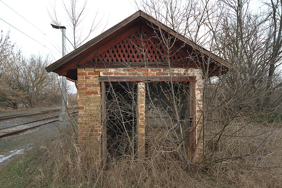 Na záchodech už asi nikdo delší dobu nebyl. Ale jsou připravené - místo dveří zajistí dostatek soukromí strom.