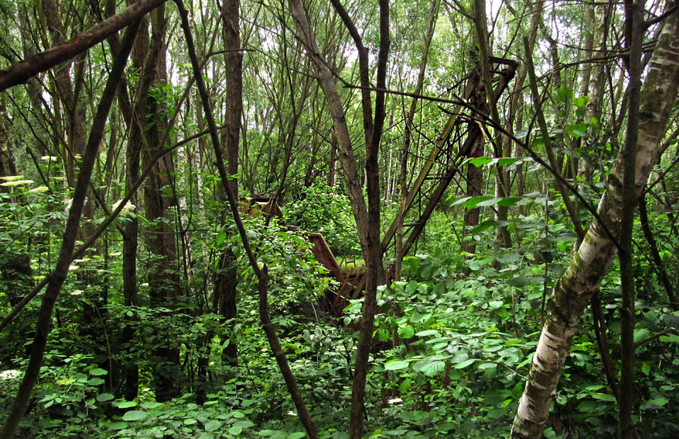K cihelně patřil také malý povrchový důl na cihlářskou hlínu schovaný za výrobní budovou. Ten se mezitím proměnil v džungli, která s chutí požírá zbytky těžebních mechanizmů.