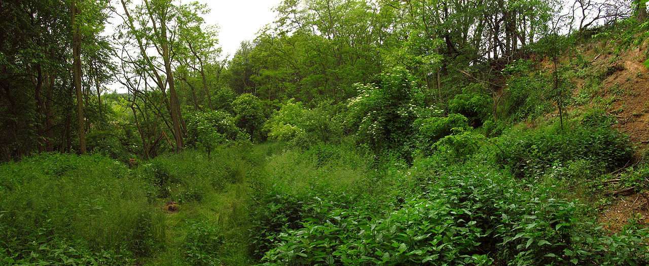 Projít kdysi rušným dolem je dnes dobrodružství ve stylu Emila Holuba.