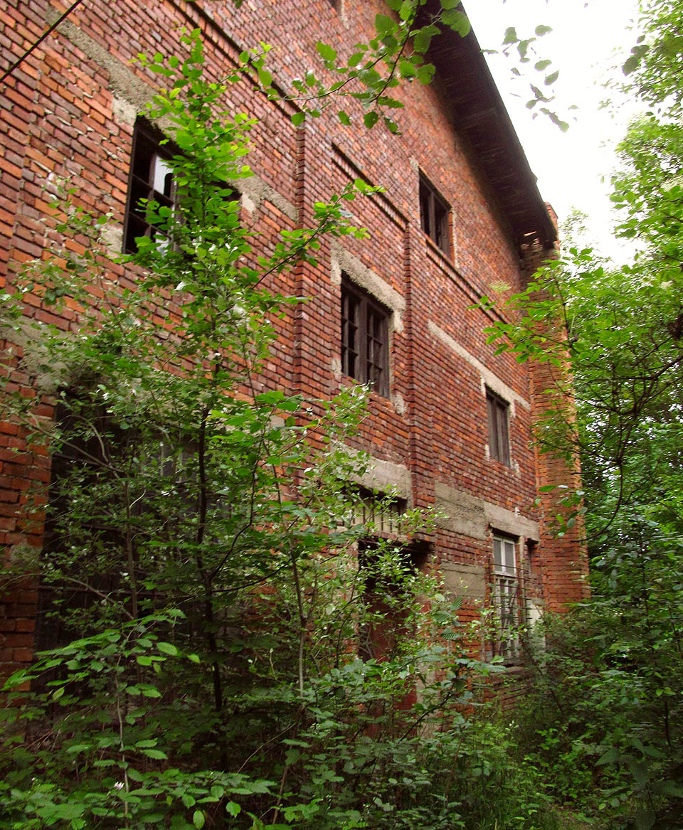 Budova, jak jinak než z pálených cihel, ostře kontrastuje se zelení džungle okolo. Stmívá se a tak hledáme dál Růženku zakletou ve zdech opuštěné továrny.