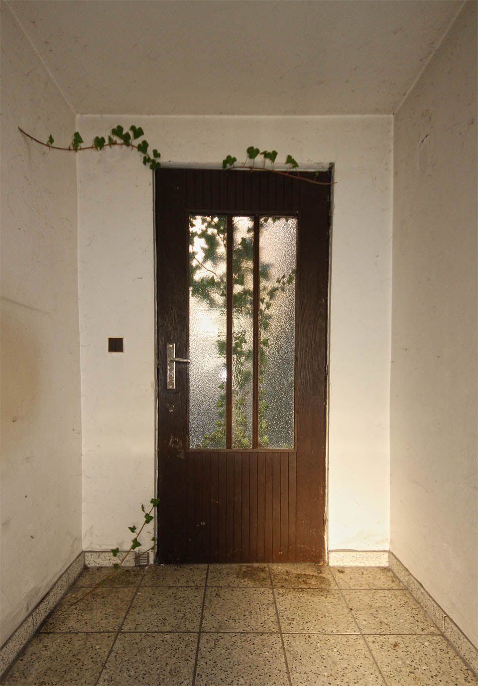 Některé domky už jsou opuštěné déle a příroda po nich doslova natahuje ruce. Stavaři budou ale zřejmě rychlejší a nedovolí kolonii, aby se poklidně změnila v ruiny.