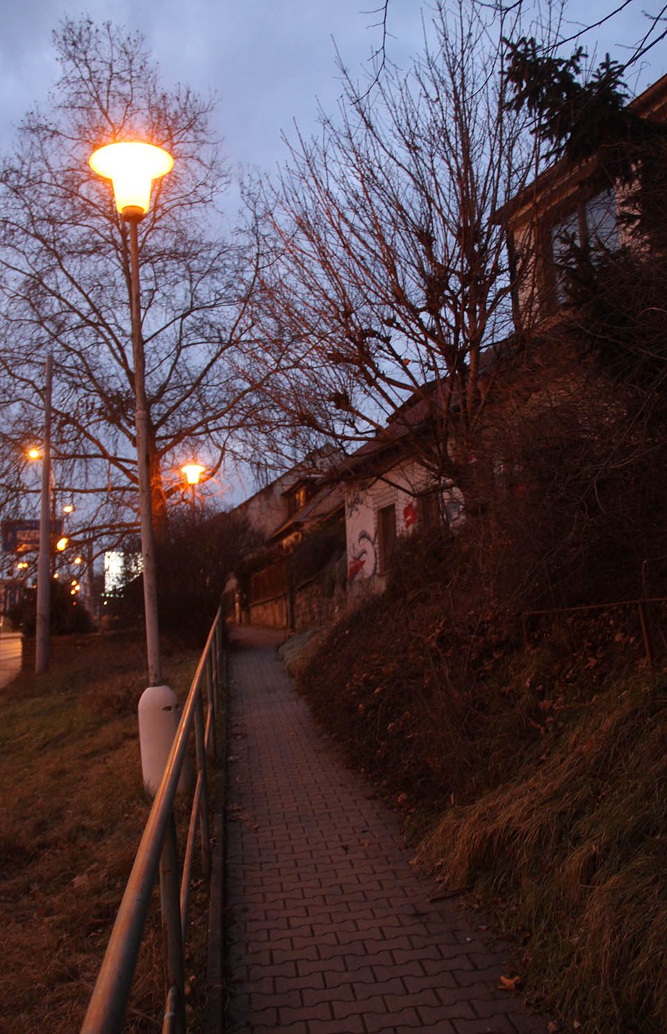 Lampy tu ještě pár týdnů budou svítit, ale po chodníčku k bývalé kolonii už nikdo nechodí.