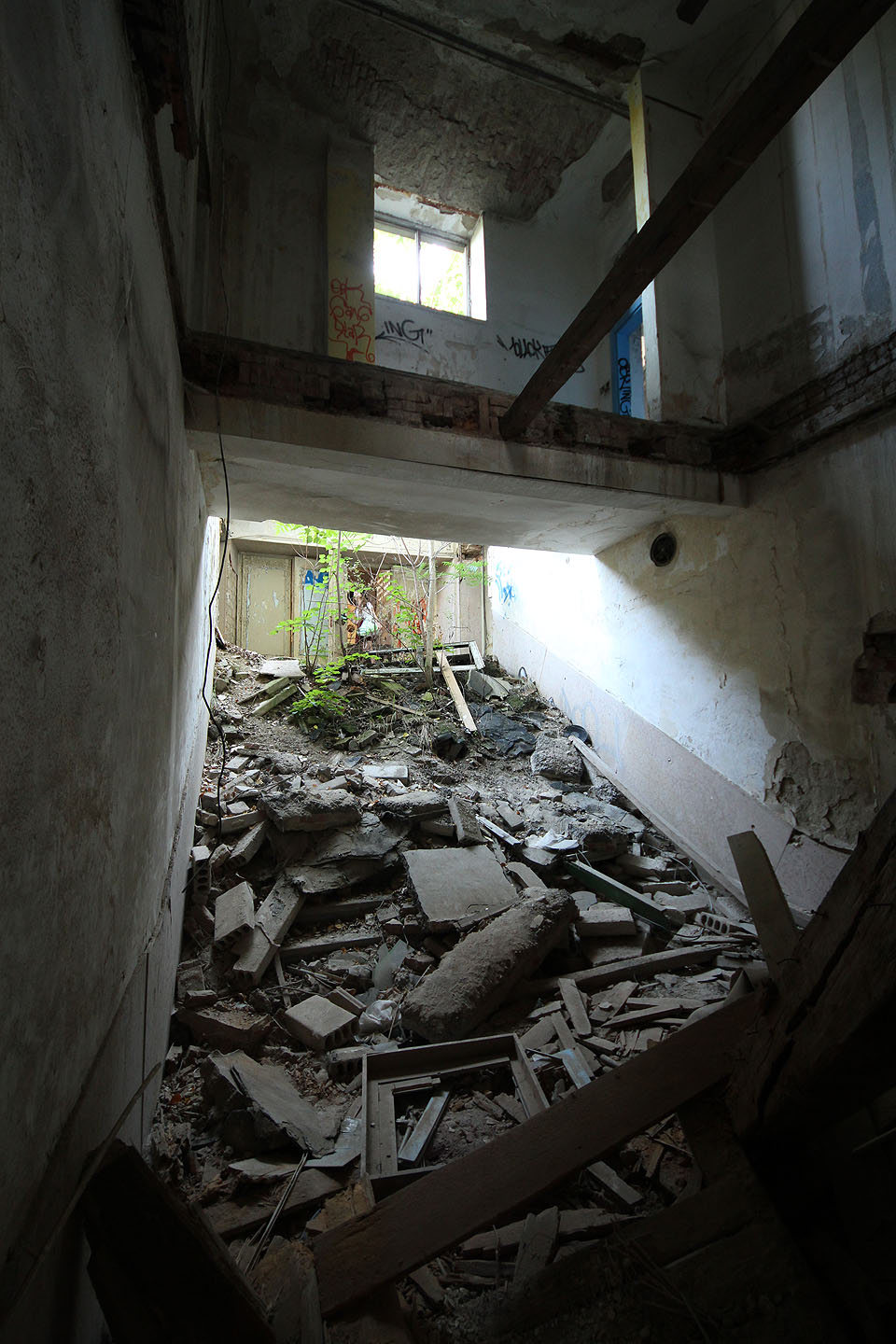 Některá zákoutí se proměnila v jakési neobvyklé zimní zahrady. Příroda se dere do domu stěnami, podlahou i střechou.