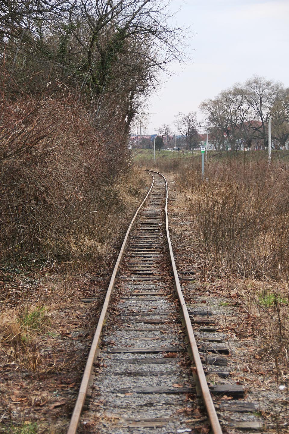 Mezistaniční úsek Užhorodské úzkokolejky měří zhruba 870 m a vede v těsné blízkosti městské botanické zahrady.