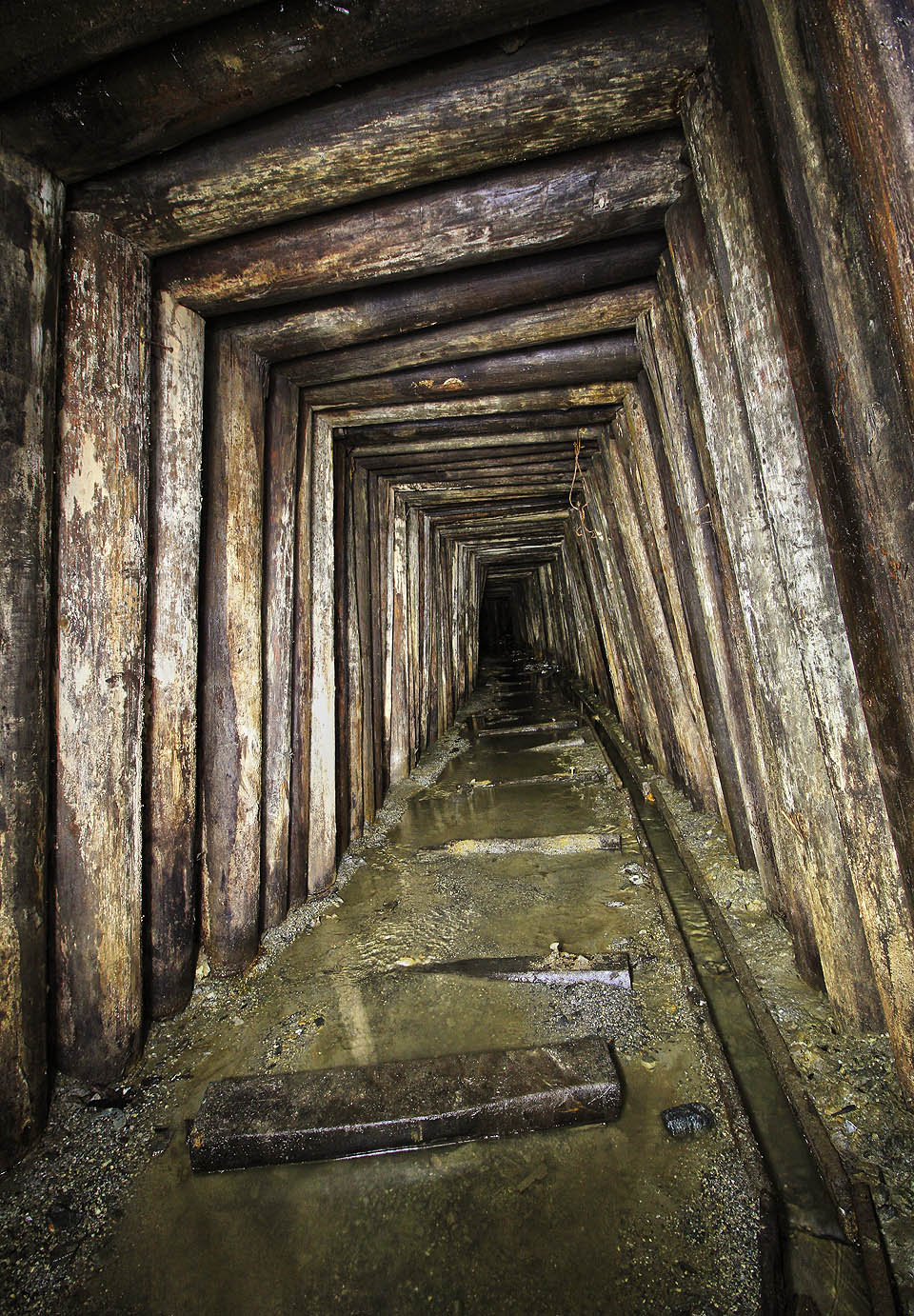 Původní dřevěná výztuž v úseku chodby 1201 procházející tektonickou poruchou.