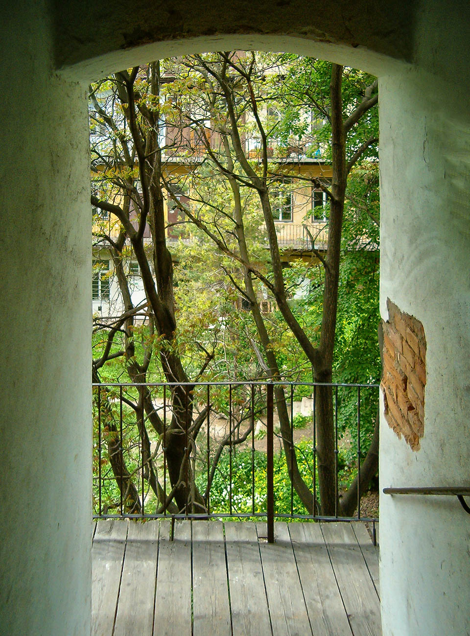 Krásné vysoké stromy dodávalay domu U sedmi švábů neobyčejný vzhlede, kterým se lišil od běžných pavlačáků v Brně. Rozlehlý, dvoupatrový dvůr, byl oázou v hustě zastavěném starobrněnském předměstí.