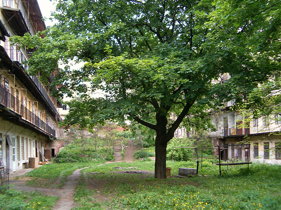 Dvůr domu U sedmi švábů byl fantastickým kouskem města. Pod vzrostlými stromy se krčila stará pumpa, klepače a zlomky zdiva pocházejícího snad až ze středověku. Nic nedokáže popsat atmosféru všedního odpoledne na takovém zákoutí. Dvůr byl rozdělen na dvě výškové úrovně se schody na místě někdejšího prostředního domu, který nakolmo rozděloval blok, vzduch prosycovaly vůně jídel a směs nejrůznějších zvuků.