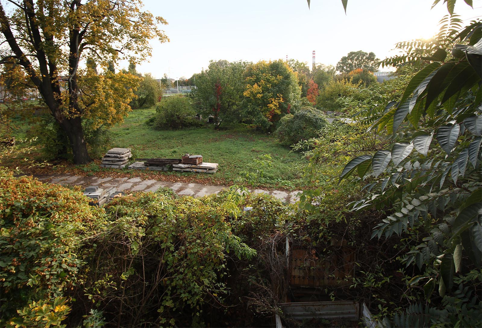 Naopak jihozápadním směrem se nabízí výhled do tovární zahrady, kouzelné svojí opuštěnou zdivočelou zanedbaností. Zhruba tudy protékala před dvěma stovkami let původní nezregulovaná  Svitava - to přidává místu na tajemnosti.