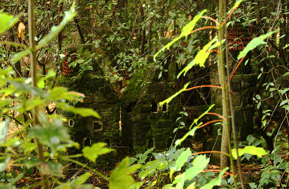Jako zámek Šípkové Růženky, ukrývá se v houští za staniční budovou typický model hradu - dřív jich byly na českých nádražích desítky, dnes jde spíš o historickou vzácnost.