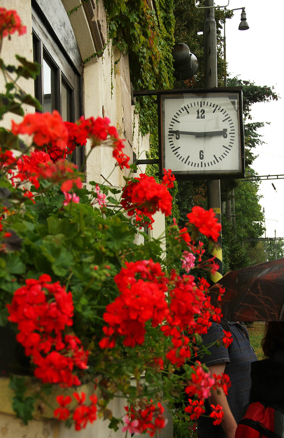 „Znám vůni prachu u mostů. Begónie rudé muškáty všech přednostů…“