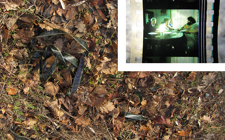 Film Trhala fialky dynamitem financovaný Rudolfem Hošnou skončil na smetišti dějin české kinematografie. Adresa: Pisárecká 13, Brno. Film Trhala fialky dynamitem financovaný Rudolfem Hošnou skončil na smetišti dějin české kinematografie. Adresa: Pisárecká 13, Brno.