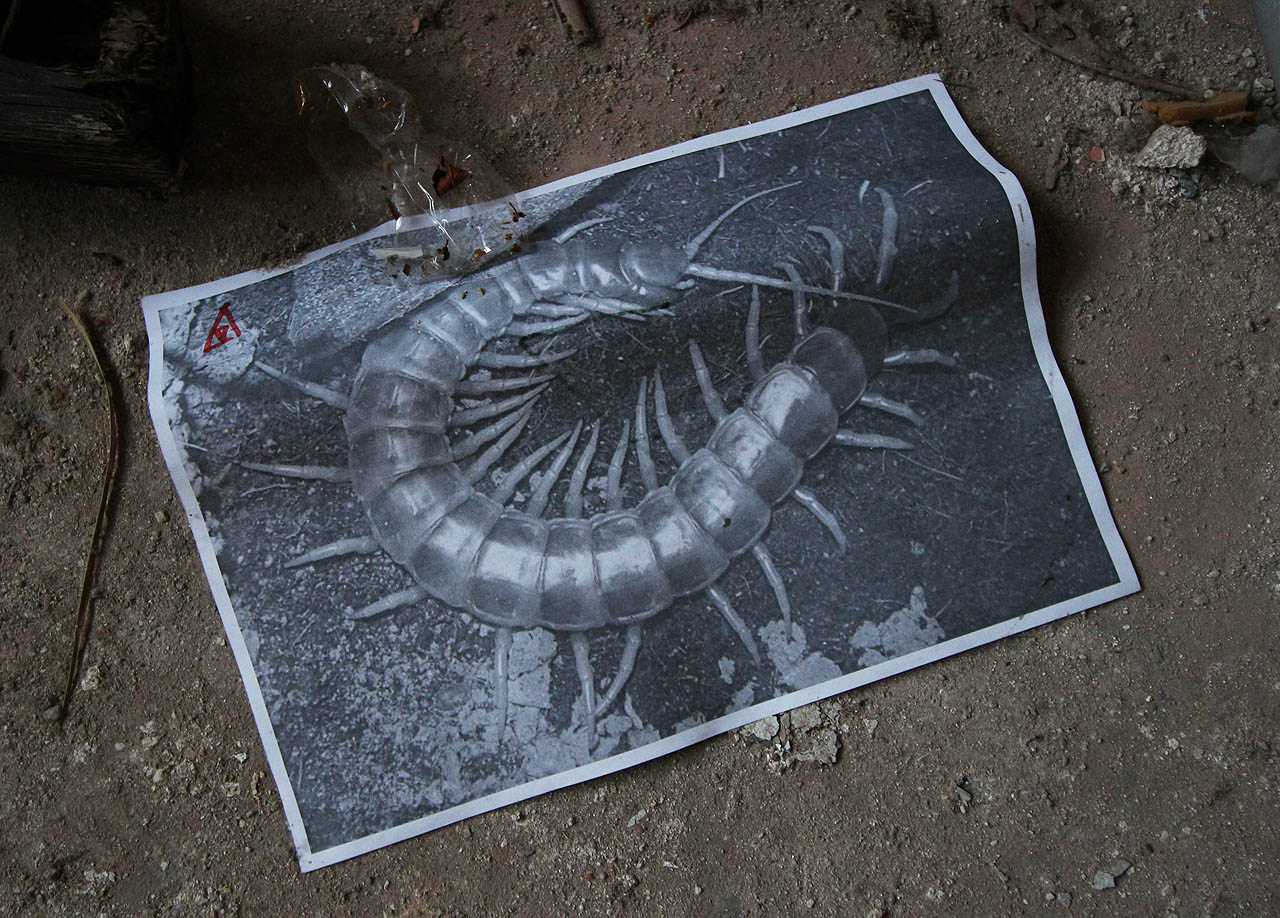 Najít se tu ale dají i jiné děsivé věci. Například černobílé obrázky malých zvířátek. Ještě, že nejsou barevné.