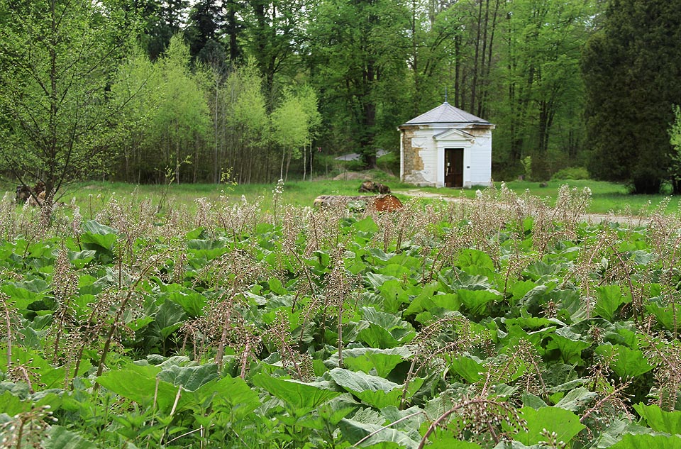 Pramen Pavla stojí osaměle za paloukem, kde před 20 roky stávalo spotoviště.