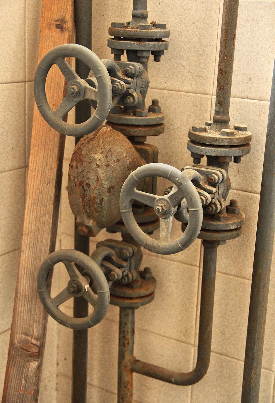 Zátiší s kohouty vypadá tak, jak se na slušnou kotelnu patří.