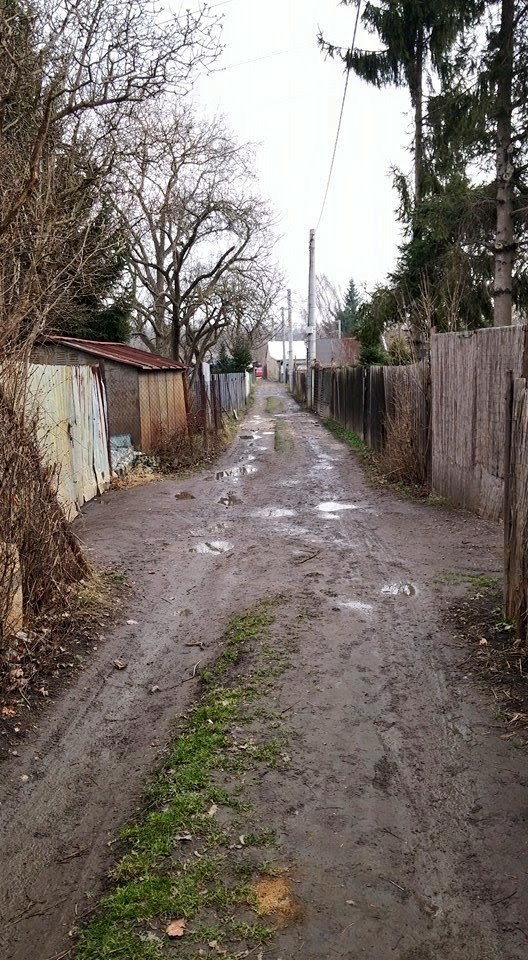 Kolonie Na Slatinách je tvořena především uježděnými bahnitými cestami.