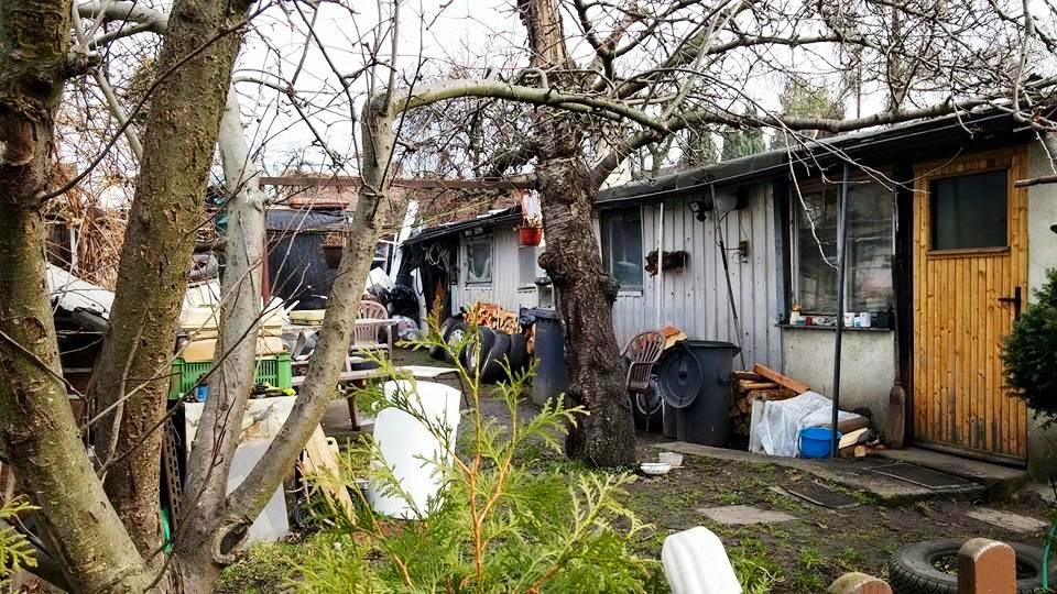 Poněkud plastové zátiší v kolonii Na Slatinách.